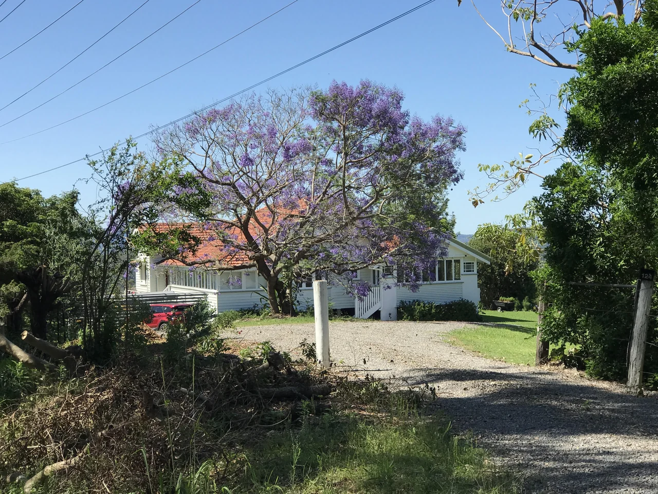 A white Australian rural home surrounded by a garden and flowering jacaranda