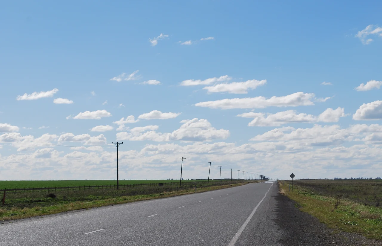 A rural road through green paddocks on the Urana Plain in the Riverina